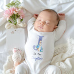 Personalised Pink / Blue Rabbit Initial Babygrow/Sleepsuit