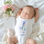 Personalised Pink / Blue Rabbit Initial Babygrow/Sleepsuit